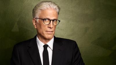 Does Ted Danson Wear a Wig? 