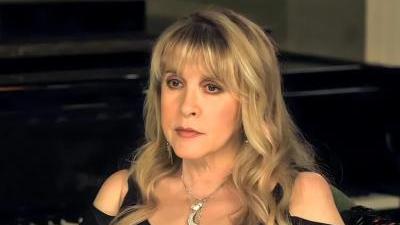 Does Stevie Nicks Wear A Wig? Exploring the Truth